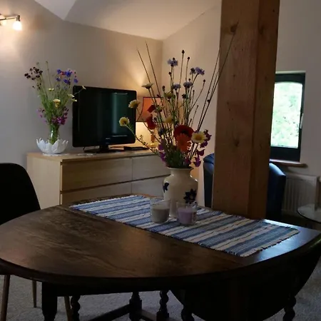 Apartment Gemuetliche In Mit Grossem Garten